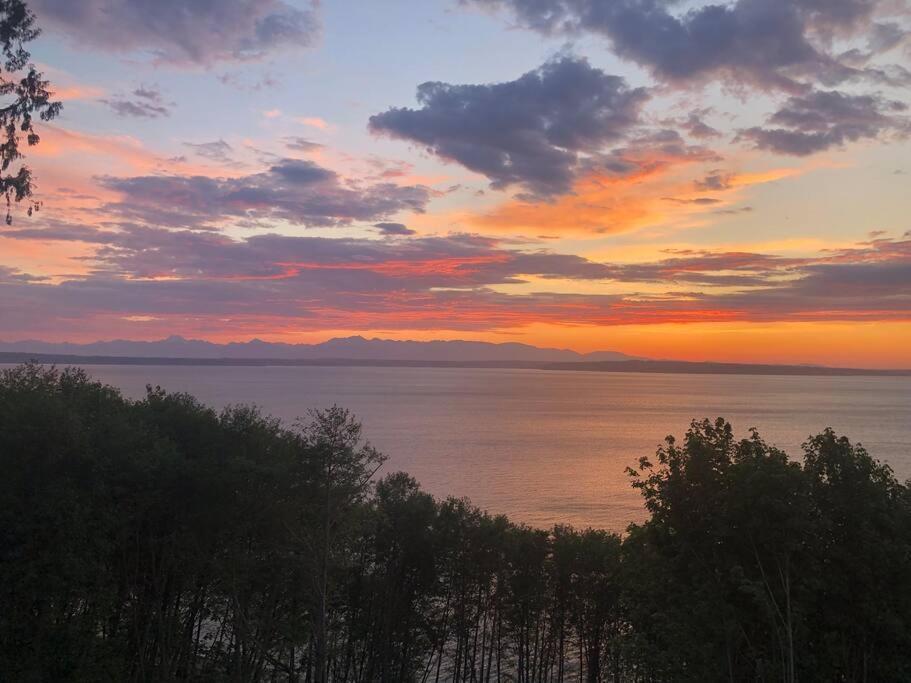 1-Bedroom Seaview Guesthouse On Seattle Luxury Estate With Views Of Olympic Mountains 외부 사진