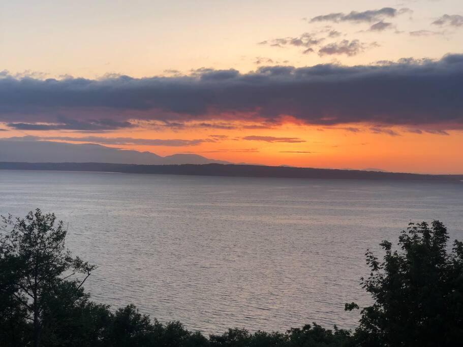 1-Bedroom Seaview Guesthouse On Seattle Luxury Estate With Views Of Olympic Mountains 외부 사진