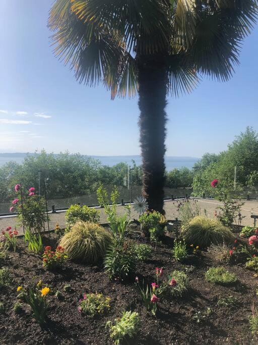 1-Bedroom Seaview Guesthouse On Seattle Luxury Estate With Views Of Olympic Mountains 외부 사진