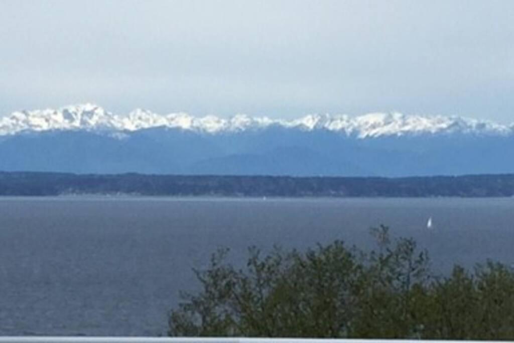 1-Bedroom Seaview Guesthouse On Seattle Luxury Estate With Views Of Olympic Mountains 외부 사진