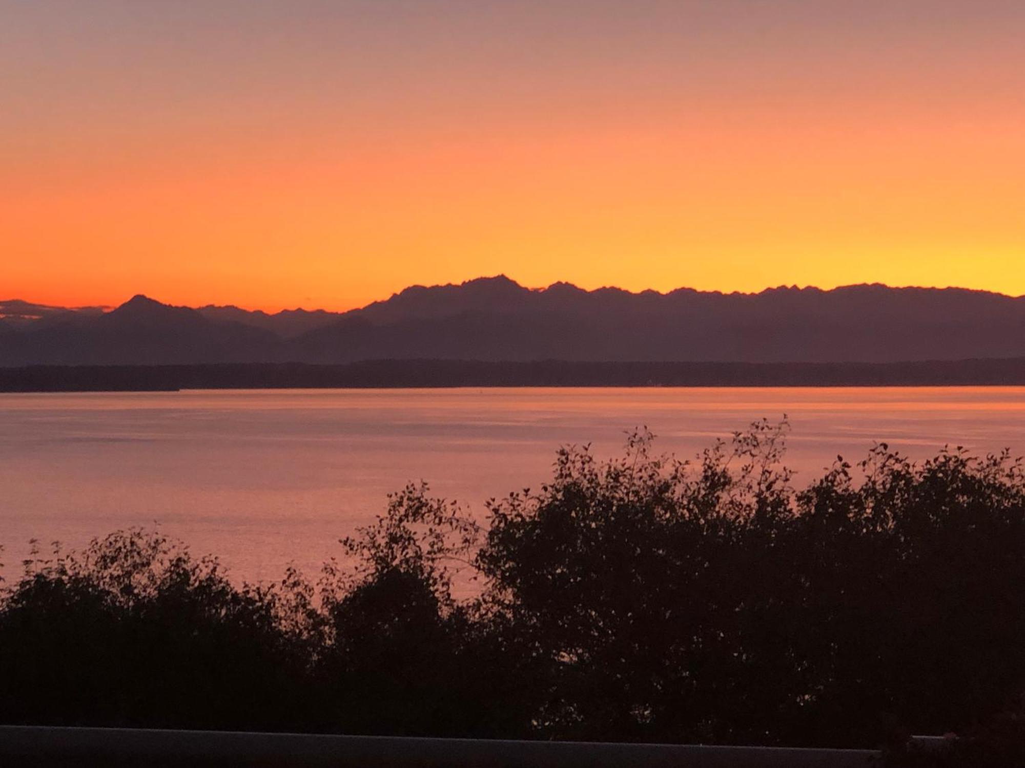 1-Bedroom Seaview Guesthouse On Seattle Luxury Estate With Views Of Olympic Mountains 외부 사진